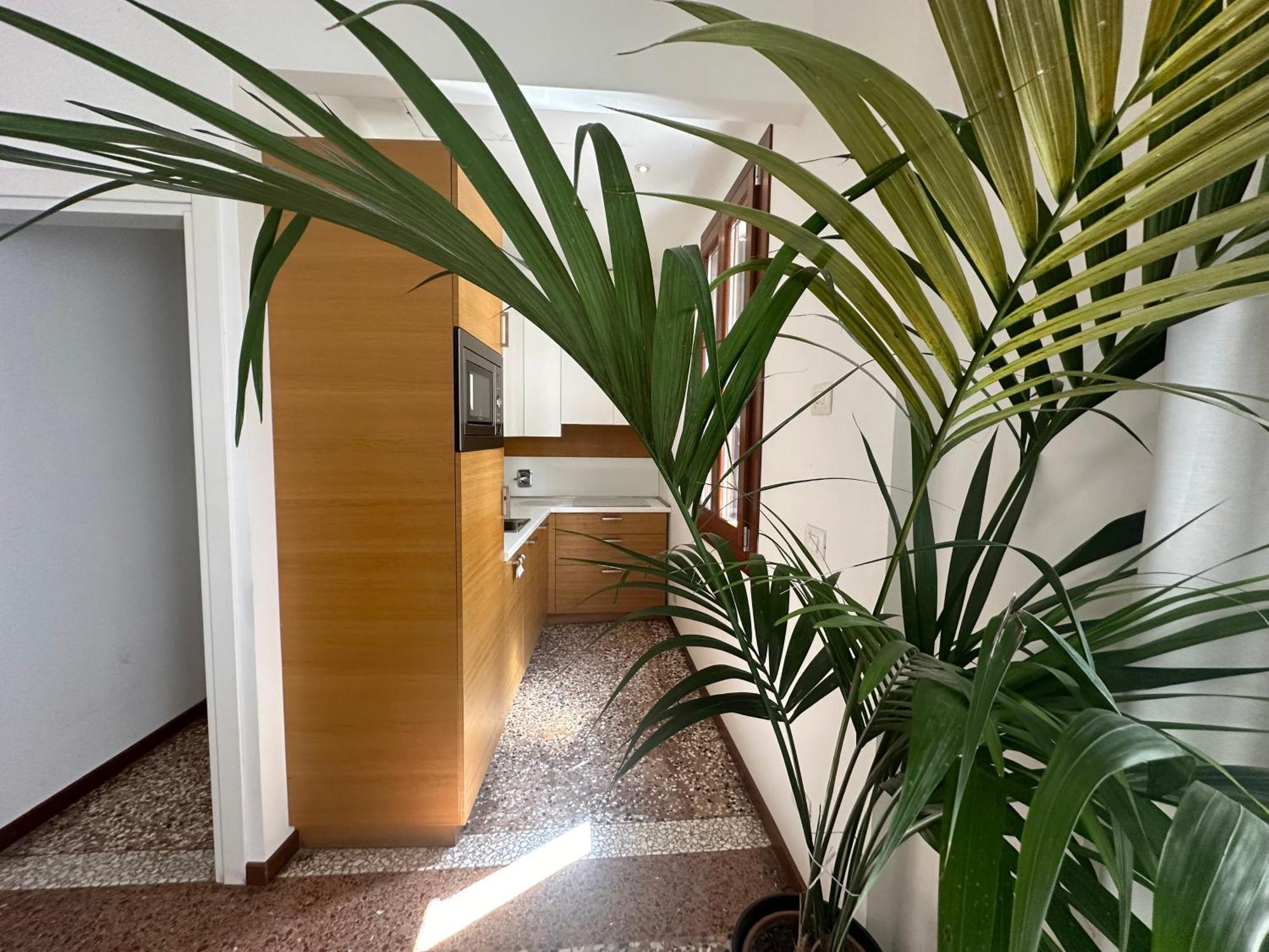 Ca' D'oro Appartement *
